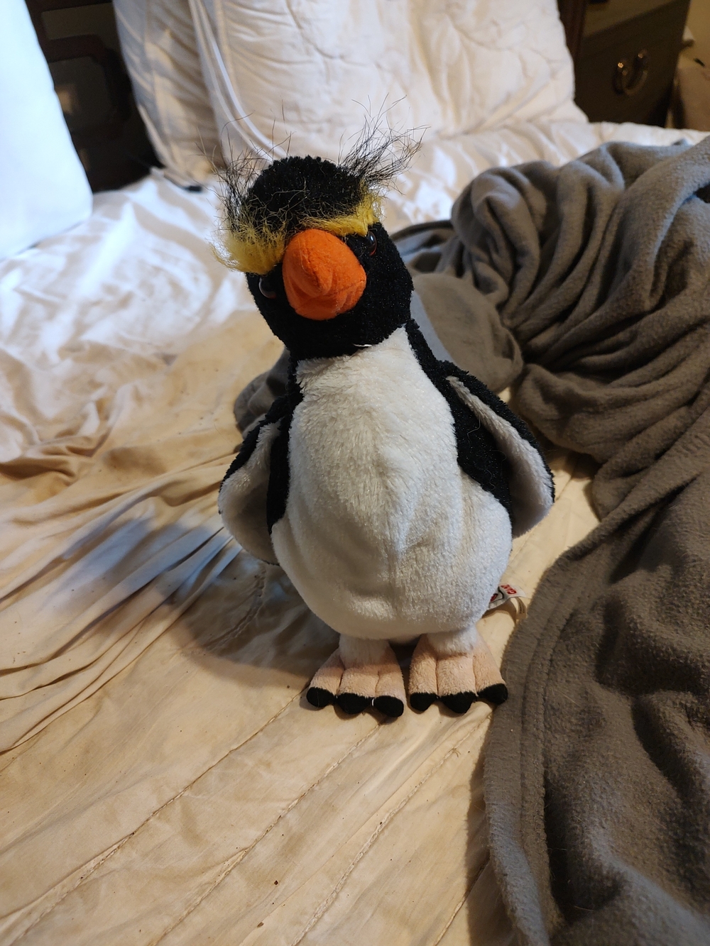 Retired Rockhopper Penguin Webkinz